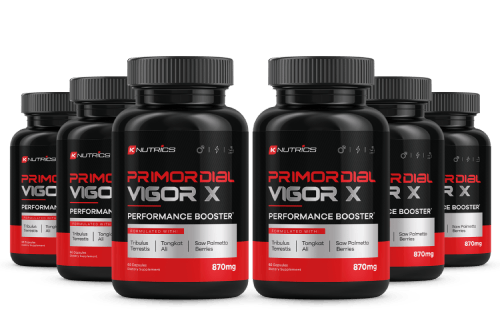 Primordial Vigor X Order